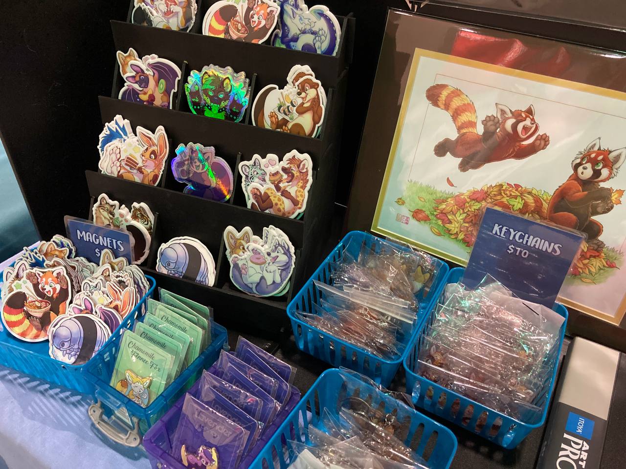 Convention Merchandise - Magnets
